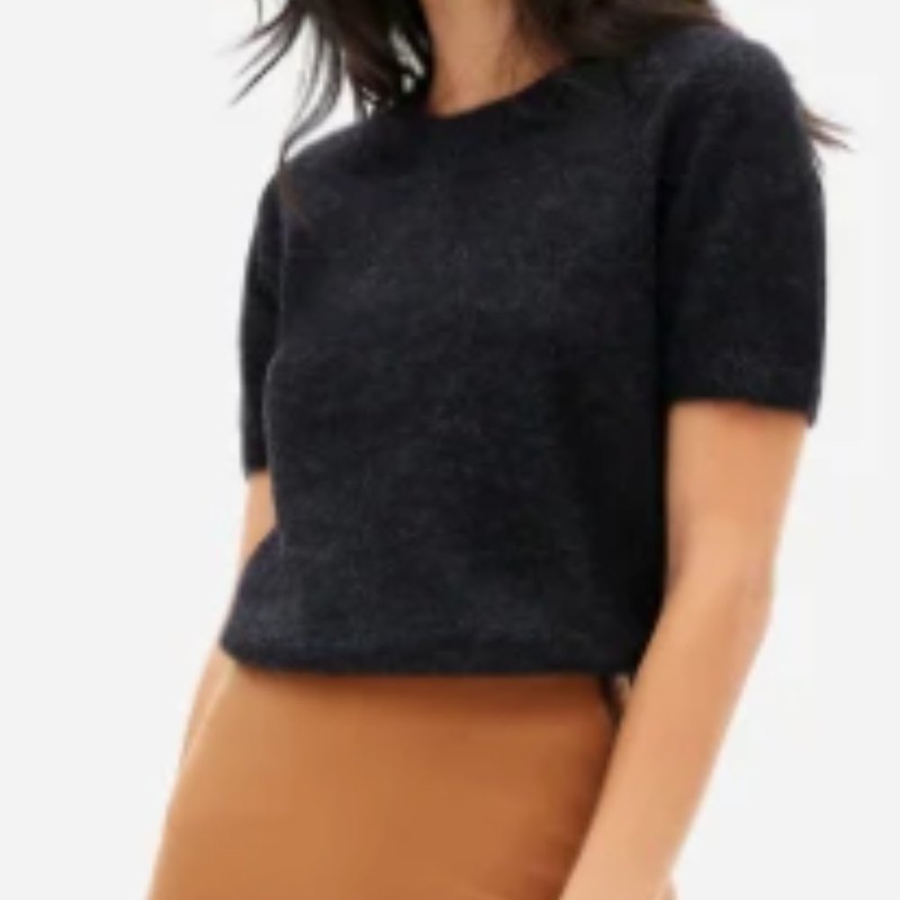 Everlane - The Alpaca Sweater Tee
